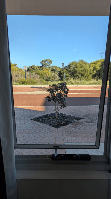 A sparkling clean window after cleaning